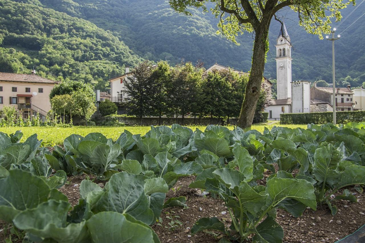 Locanda Solagna Quero 外观 照片