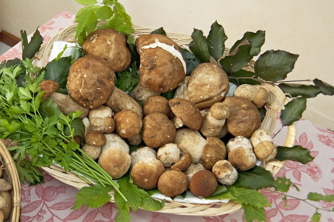 Locanda Solagna Quero 外观 照片